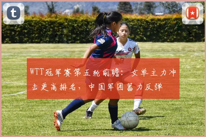 WTT冠军赛第五轮前瞻：女单主力冲击更高排名，中国军团蓄力反弹